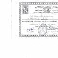 Acercar imagen: certificate 20