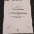 Acercar imagen: certificate 3