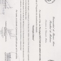 Acercar imagen: certificate 2
