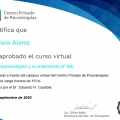 Acercar imagen: certificate 3