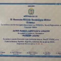 Acercar imagen: certificate 19