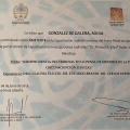 Acercar imagen: certificate 13