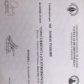 Acercar imagen: certificate 12
