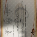 Acercar imagen: certificate 11