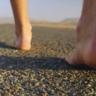 Lic. Gustavo Amestoy