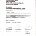 Acercar imagen: certificate 7