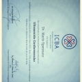 Acercar imagen: certificate 6