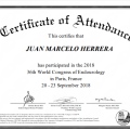 Acercar imagen: certificate 1