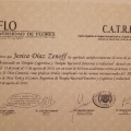 Acercar imagen: certificate 6