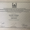 Acercar imagen: certificate 35