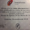 Acercar imagen: certificate 1