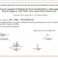 Acercar imagen: certificate 6