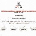Acercar imagen: certificate 23