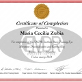Acercar imagen: certificate 1