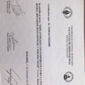 Acercar imagen: certificate 2