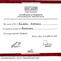 Acercar imagen: certificate 89