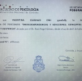 Acercar imagen: certificate 3