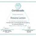 Acercar imagen: certificate 5