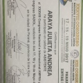 Acercar imagen: certificate 2