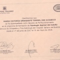 Acercar imagen: certificate 6