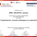 Acercar imagen: certificate 3