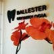 Ballester Odontología