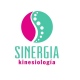 Sinergia Kinesiología