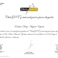 Acercar imagen: certificate 29