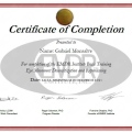 Acercar imagen: certificate 3