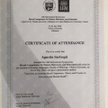 Acercar imagen: certificate 21