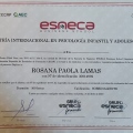 Acercar imagen: certificate 2