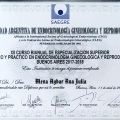 Acercar imagen: certificate 3
