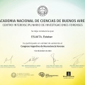 Acercar imagen: certificate 28