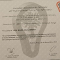 Acercar imagen: certificate 10