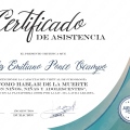 Acercar imagen: certificate 1