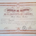 Acercar imagen: certificate 3