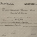 Acercar imagen: certificate 5