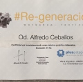 Acercar imagen: certificate 3