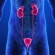 Urología San Miguel
