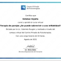 Acercar imagen: certificate 78