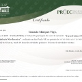 Acercar imagen: certificate 1