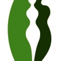 Centro de Nutrición IntegralCórdoba Capital - 