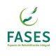Fases