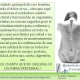 Quiropraxia Vital