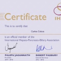Acercar imagen: certificate 5