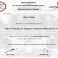Acercar imagen: certificate 3