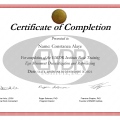 Acercar imagen: certificate 1