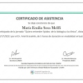 Acercar imagen: certificate 7