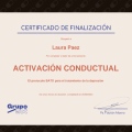 Acercar imagen: certificate 8