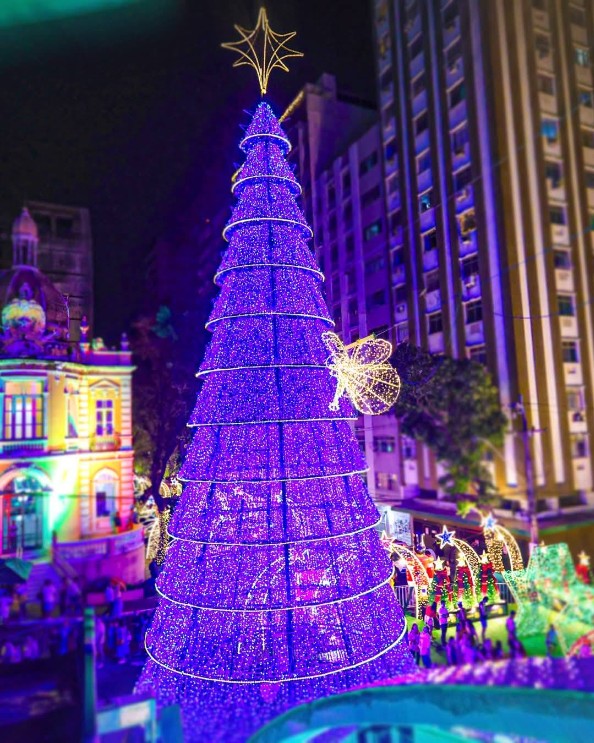 Capa da notícia ‘Natal nos Jardins do Palácio Anchieta’ tem 78 árvores representando os municípios